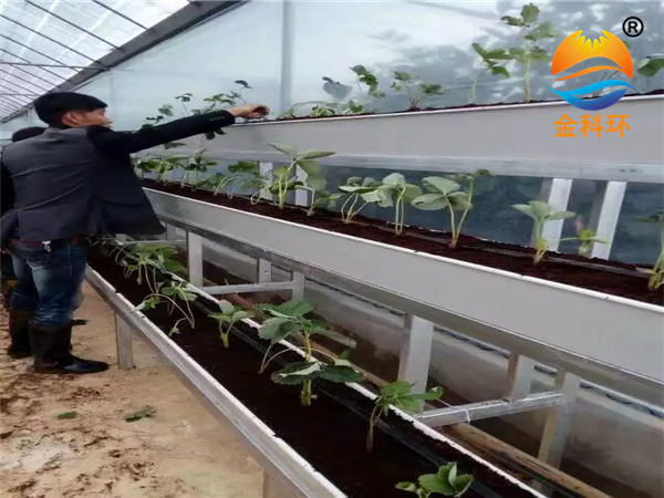 立體種植草莓栽培槽