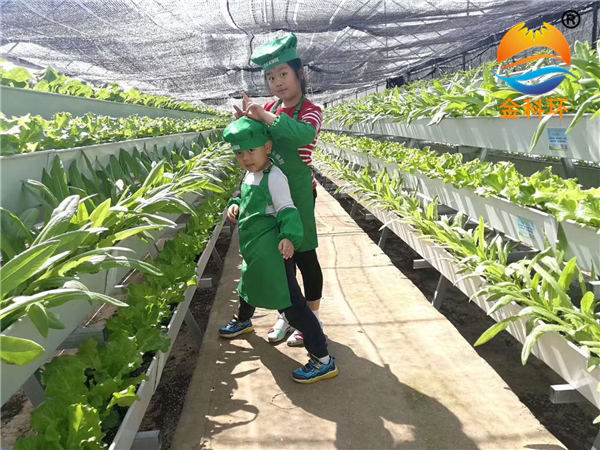 蔬菜立體種植  新疆客戶實拍案例