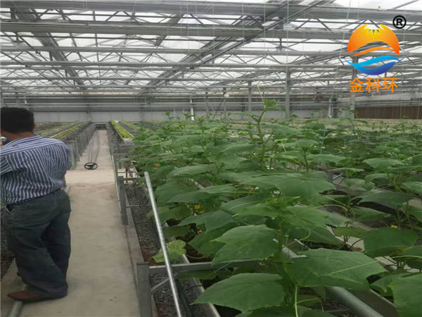 立體種植草莓栽培槽