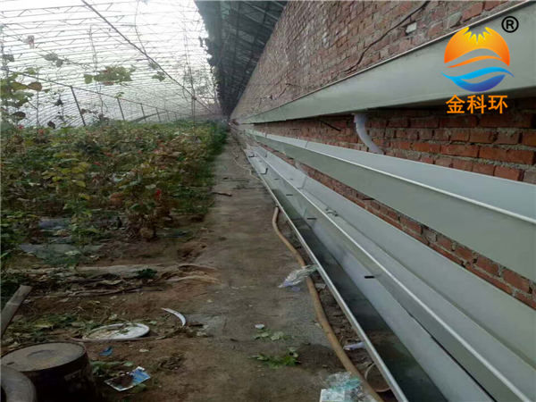 后墻種植槽