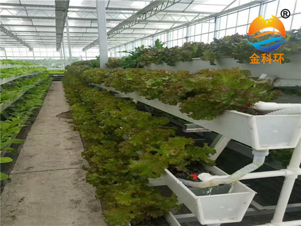 石家莊科環(huán)種植設(shè)備有限公司14