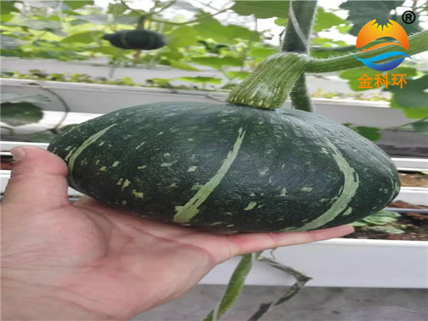 瓜果立體種植槽 (1)