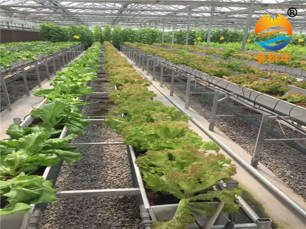 蔬菜種植槽24
