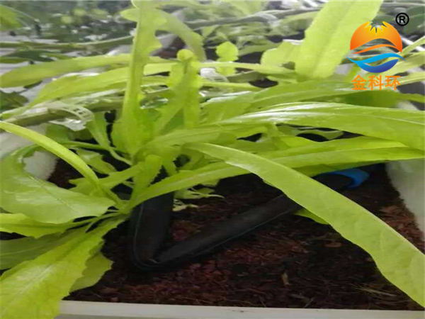 蔬菜種植槽